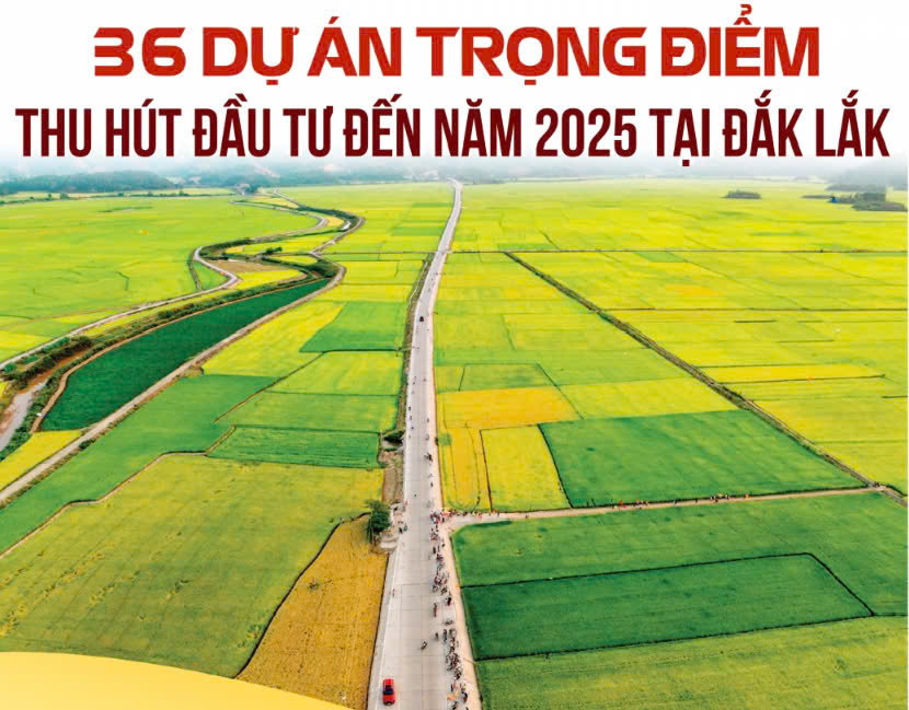 (Inforgraphic) Danh mục dự án trọng điểm thu hút đầu tư đến năm 2025